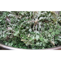 봄쑥 참쑥 생쑥 500g 해풍쑥 노지쑥 섬쑥 쑥버무리 쑥국 (채취한날발송상품), 1개