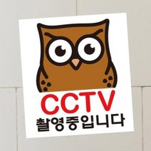 생활스티커 부엉이 CCTV촬영중(칼라) 칼라