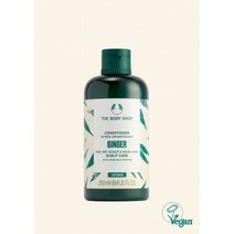 더바디샵 진저 스캘프 케어 컨디셔너 250ML
