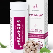 l테아닌 홍경천추출물 판토텐산 비타민B 스트레스 디스트레스 불안 초조 장애 긴장완화 피로개선 신경안정제 태아닌 불면증 수면장애 해소 숙면 알파파 릴렉스 영양제, 6병(6개월)