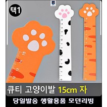 필수준비물 자취용품 학용품 고양이 자 생활소품 자취필수템 자취소품 15CM자 사무용품점, 화이트