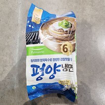 풀무원 평양물냉면 트레이더스 2 538g (6인), 아이스보냉백포장