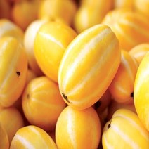 성주 참외 가정용 2.5kg 5kg 10kg (등급 - 상), 1box, [07]가정용 참외 5kg / 중과