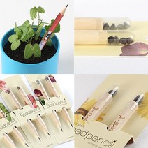 필통 입학선물 세트 업체 씨앗연필 졸업 소품 자연관찰 _ DV+64790EA, 디바인스 해바라기