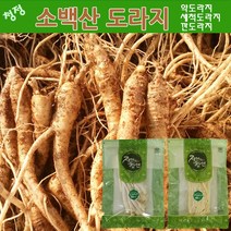 청정 영주소백산 도라지 1kg 2kg 5kg 세척_약도라지 산지직송, 약도라지, 세척도라지, 5kg(세척_약도라지_중품), 1개