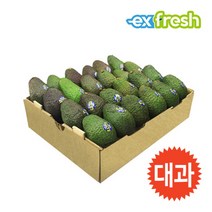 [익스프레쉬] 프리미엄 아보카도 대과 24입 1박스 5.5kg 내외, 상세 설명 참조, 상세 설명 참조