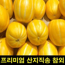 고씨네 특급 개구리참외 꿀참외 꼬마참외 참외농장, c룩어라운드 1