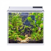 아마존 곡유리 아쿠아리움 수조 AMZ-640F, 화이트