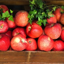 경북 산지직송 당도선별 가정용 정품 꿀사과 부사사과 2kg 3kg 5kg 10kg, (가정용) 3kg / 소과 / 15-18과
