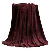 집순이담요 먼지없는 담요이불 휴대용 양털 아주 단색 두껍고 플란넬 담요 소파 침실