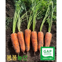<봄봄농산>제주도 GAP인증 햇 당근 제주 구좌 성산 흙당근 3kg/5kg/10kg, 제주 햇당근, 중(주스용), 3kg” class=”wr-img”></a></div></p></div></p></div></p></div><div class=