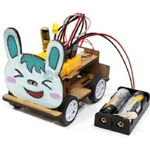SA 충전식 전기자동차(1인용 포장) 과학DIY 과학준비물, 단품