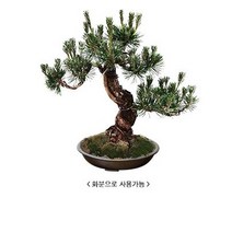 대형화분 주차금지 아파트 관공서 도로화분, 흑색