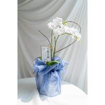 예단난 서양란 호접란 축하 상견례난 개업 승진화분 보자기난, 중형4대, 블루, 화이트