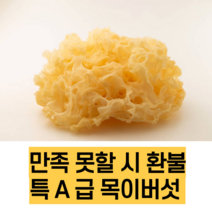 백목이버섯 은이버섯 백목이 흰목이 버섯, 500g, 1개