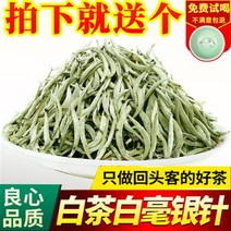 차이준 복정백차 2020년 신차백호은침고산명전복건차특급백호은침복정벌 250g