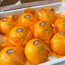 제주도 레드향 선물용 가정용 3kg 5kg 10kg 고당도 제주 감귤 명절 설 선물세트, 10kg (가정용 혼합과)
