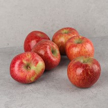 [오늘신선] 청송네자매 경북 청송 홍로 사과 정품 2.5kg 중과(7-10과 내외), 단품