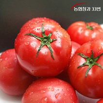 브랜드없음 [농협청과33번] 토마토 5kg 5번 (쥬스용), 5000g, 1개