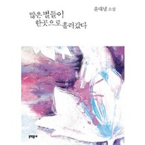 많은 별들이 한곳으로 흘러갔다, 문학동네