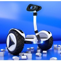 세그웨이 왕발통 전기 전동 두발 전동휠 순찰 미니, A 24V 체험판 흰색  2km + 구매한도 1대 +, 54v