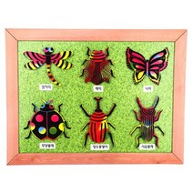 바보사랑 스크래치 곤충도감 액자.미술샘, 1인용개별포장|1인용개별포장