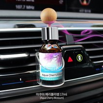 지프컴패스 고급 디퓨저 방향제 차향수 퍼퓸 향기마을 차량용, 향기마을디퓨저 / 아쿠아체리블라썸