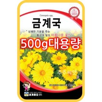 금계국 씨앗 500g 대용량 꽃 종자 golden wave flower seed
