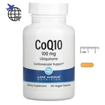 레이크 에비뉴 CoQ10 코엔자임 유비퀴논 100mg 120정 CHECKYOU