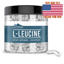 미국직구 어쓰본 류신타블렛 1400mg 200정 어스본 Earthborn L-Leucine 휴대용약통증정