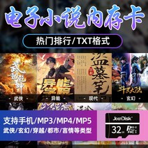 닌텐도스위치 블랙박스 메모리 sd 카드 소설책 메모리카드 32g 전자책 메모리 노래카드 mp3 사운드트랙 다운로드 소설책 메모리 카드 음악sd카드, 01 공식 표준 분배, 07 【32G】각종 장르 소설15000본（TXT文档형식