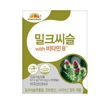 비타민뱅크 밀크씨슬 비타민B 90캡슐, 상세설명 참조, 없음