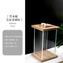 네온테트라 희귀열대어 새우키우기 어항꾸미기 루돌프구피 하프문베타 엔젤피쉬A09, 옵션4