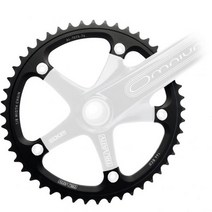 스램 트루바티브 체인링 옴니움 144mm - 48 teeth