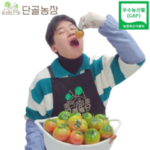 산지직송 부산 특산물 대저토마토 대저짭짤이 토마토, 대저토마토 / 2.5kg / 사이즈 : L