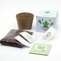 키우기 모종 화분재배키트 팜팜농장시리즈 틔움세상, 상추
