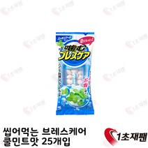 고바야시 씹어먹는 브레스케어 쿨민트맛 25개입 일본 캔디 1초재팬 직배송, 1개