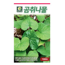 다농 곰취나물 씨앗 100립, 17개
