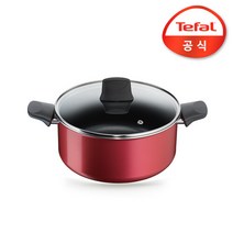 테팔 쏘 제너러스 양수냄비, 24cm, 레드