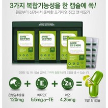 프리미엄 징코 앤 메모리 두뇌 인지력 기억력 영양제 손발저림 혈행개선 수험생 청소년 갱년기 60대 70대 기억력 집중력 은행잎추출물 혈액순환, 90캡슐(3개월) x 1개