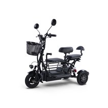 세발전기자전거 자토바이 2인용 전동 삼륜 노인 성인, 상세 페이지 참고, 강력한 등반15A 리튬 배터3인승48V