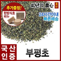 자애인 국산 부평초 300g 개구리밥 건조 경북영천, 단품