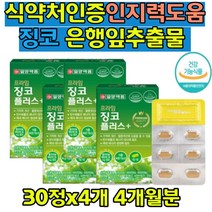 은행잎 인지력 집중력 머리영양제 플라보놀배당체함유 식약처인증 뇌운동 혈행개선 기억력향상 도움 다리에쥐날때 중년 직장인 여성 남성 30대40대50대