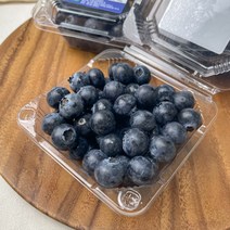 [멋진헛간] 블루베리 생과 250g 500g 1kg, 블루베리 생과500g