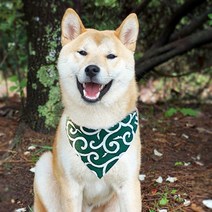 크레이티브펫 당초무늬스카프_오리지널, 1개, 당초무늬_오리지널(그린)