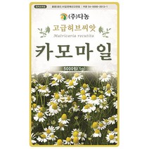 케모마일 허브씨앗 20g, 단품없음