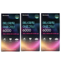 뉴트리가든 에너제틱 아르기닌6000 20g, 3개