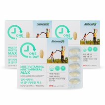 네추럴라이즈 원어데이 멀티비타민 앤 멀티미네랄 맥스, 90정, 3개