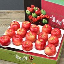 청송꿀사과 9kg(36-38과)중소과/햇 부사 미시마, 청송꿀사과 5kg(20-21과)소과/햇