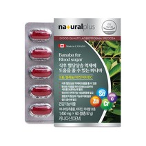 내츄럴플러스 바나바잎 추출물 60정 5박스(10개월분) 식후 혈당상승 억제